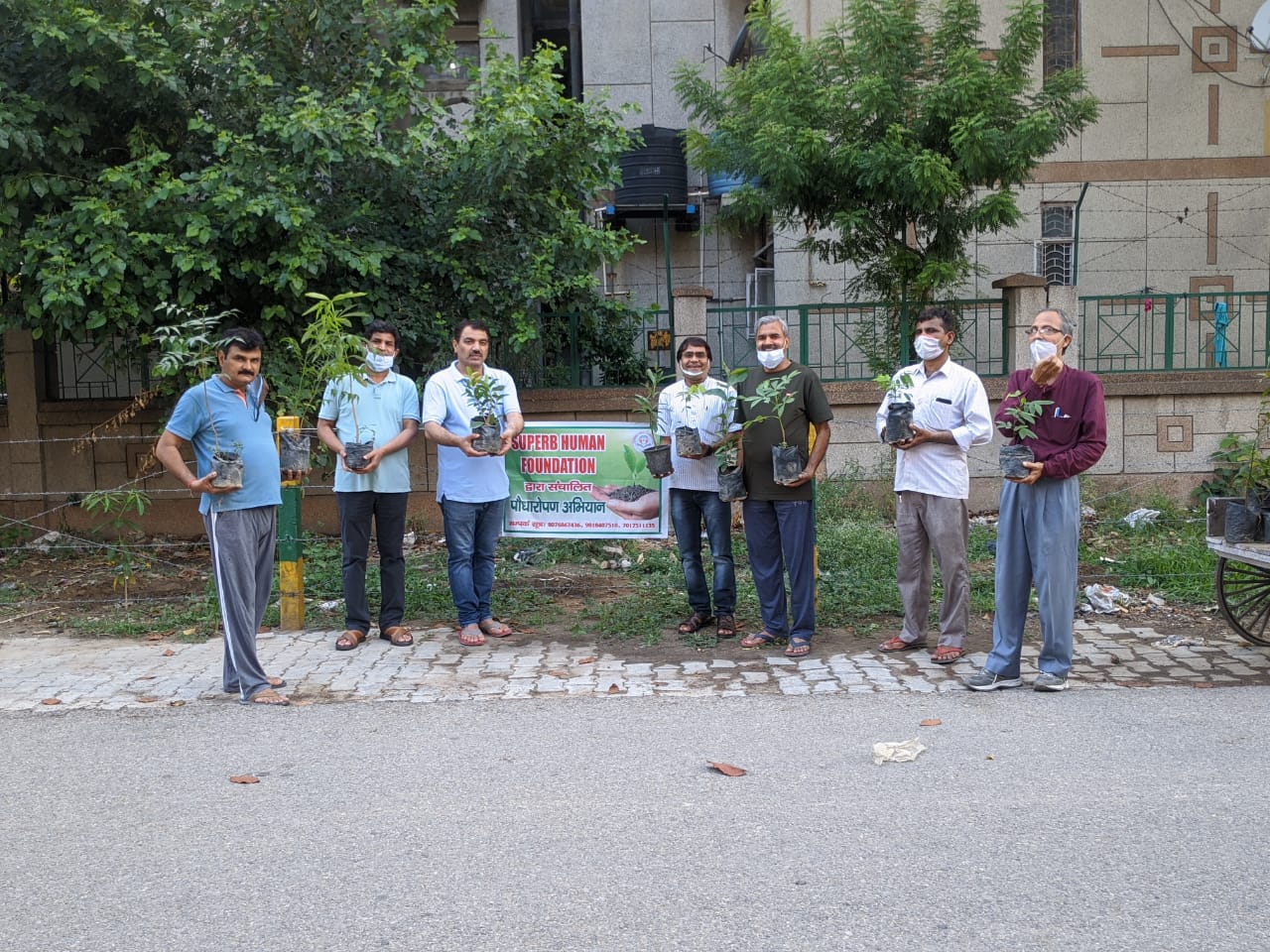 Plantation drive